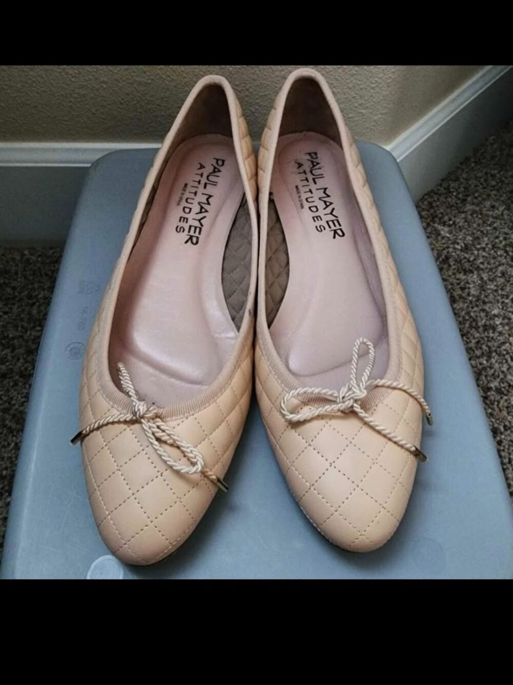 Paul Mayer Attitudes Leather Ballet Flat
